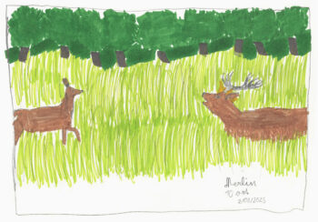 Dessin de Merlin