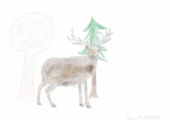 Dessin de Léonie 