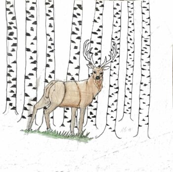 Dessin de Benjamin