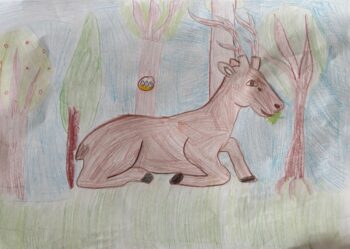 Dessin de Coline