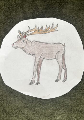 Dessin de Iris