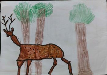Dessin de Rosalie