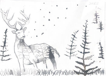 Dessin de Jules