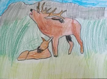 Dessin de Yvan