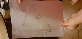 Dessin de marceau
