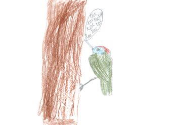 Dessin de Élisabeth