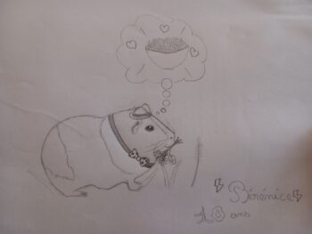 Dessin de Bérénice 