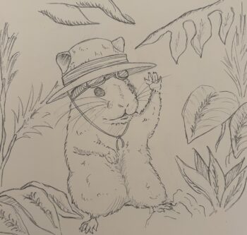 Dessin de Mohammed Ali