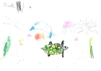 Dessin de Maelle
