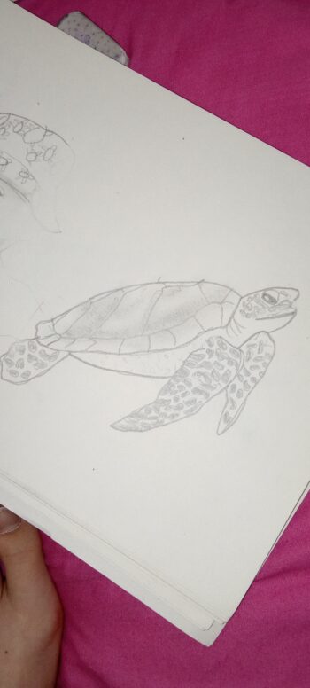 Dessin de Manon