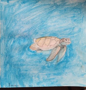 Dessin de Imran 