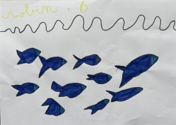 Dessin de Robin