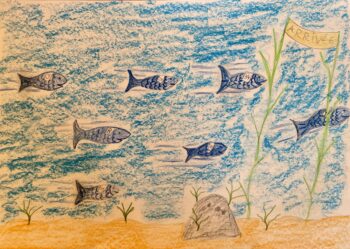 Dessin de Anouk
