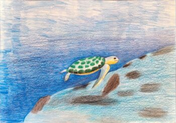 Dessin de Agathe