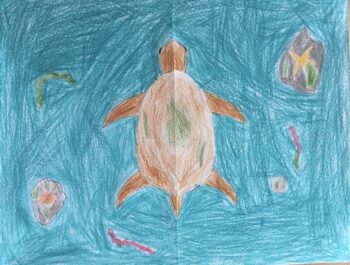 Dessin de Noah
