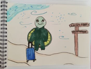 Dessin de Camille 