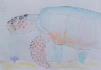 Dessin de Léonie 