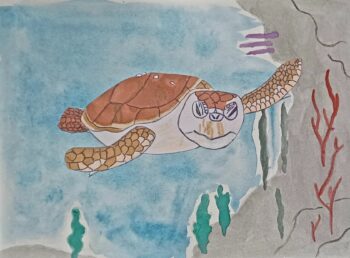 Dessin de Youenn