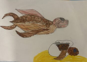 Dessin de Adem