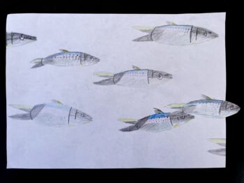 Dessin de Claire