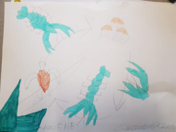 Dessin de Lucien