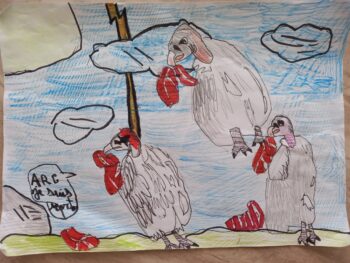Dessin de Anis