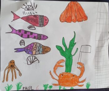 Dessin de Paul