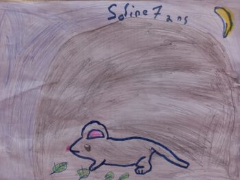 Dessin de Soline