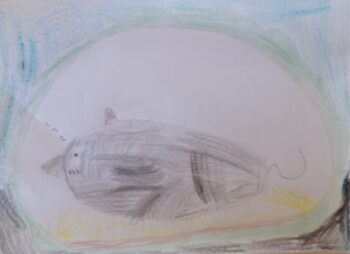 Dessin de Alice 