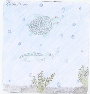 Dessin de Anaïs 