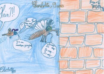Dessin de Charlotte
