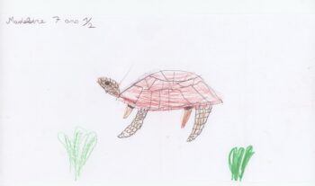 Dessin de Madeleine