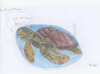 Dessin de Pauline
