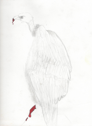 Dessin de Pierre