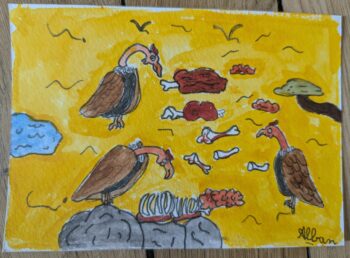 Dessin de Alban