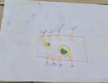 Dessin de Albane