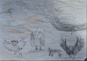 Dessin de Lucas