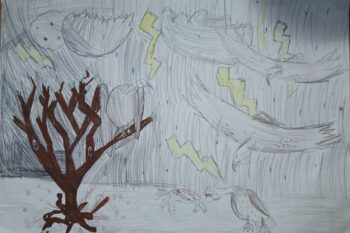 Dessin de Lucas