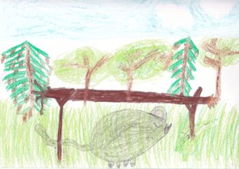 Dessin de Mia