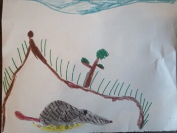 Dessin de Robin