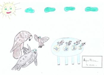 Dessin de Apolline