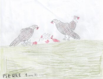 Dessin de Pierre