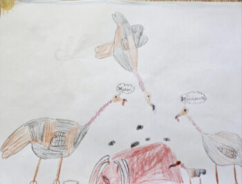 Dessin de Romain