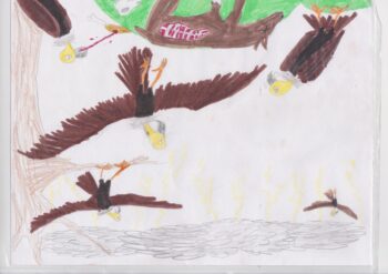 Dessin de Noham