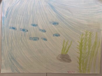 Dessin de Myriam
