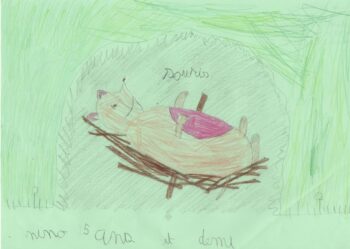 Dessin de Nino