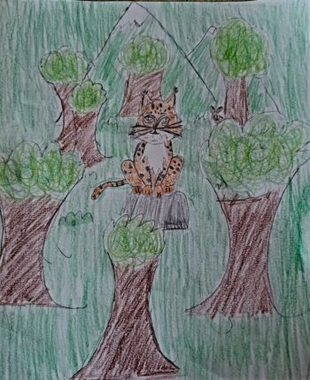 Dessin de Lison