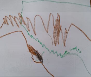 Dessin de Zoé 