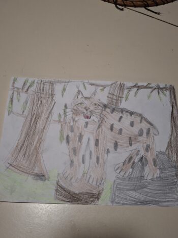 Dessin de Roxane