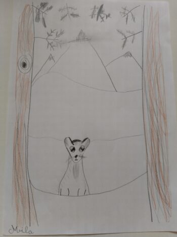 Dessin de Mila 